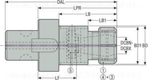 M58653632